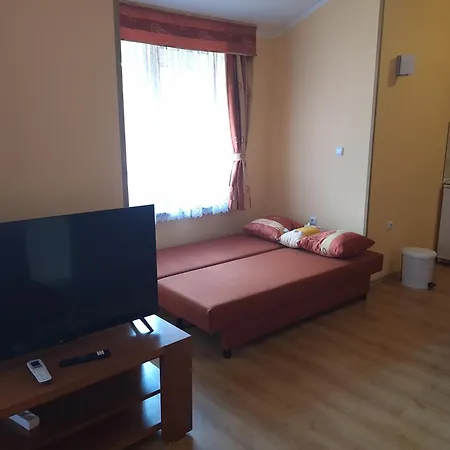 Snow Peak Todorka And Vihren /next To The Lift/ 7 Persons/ Апартаменти *